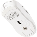 Mouse Aula SC580