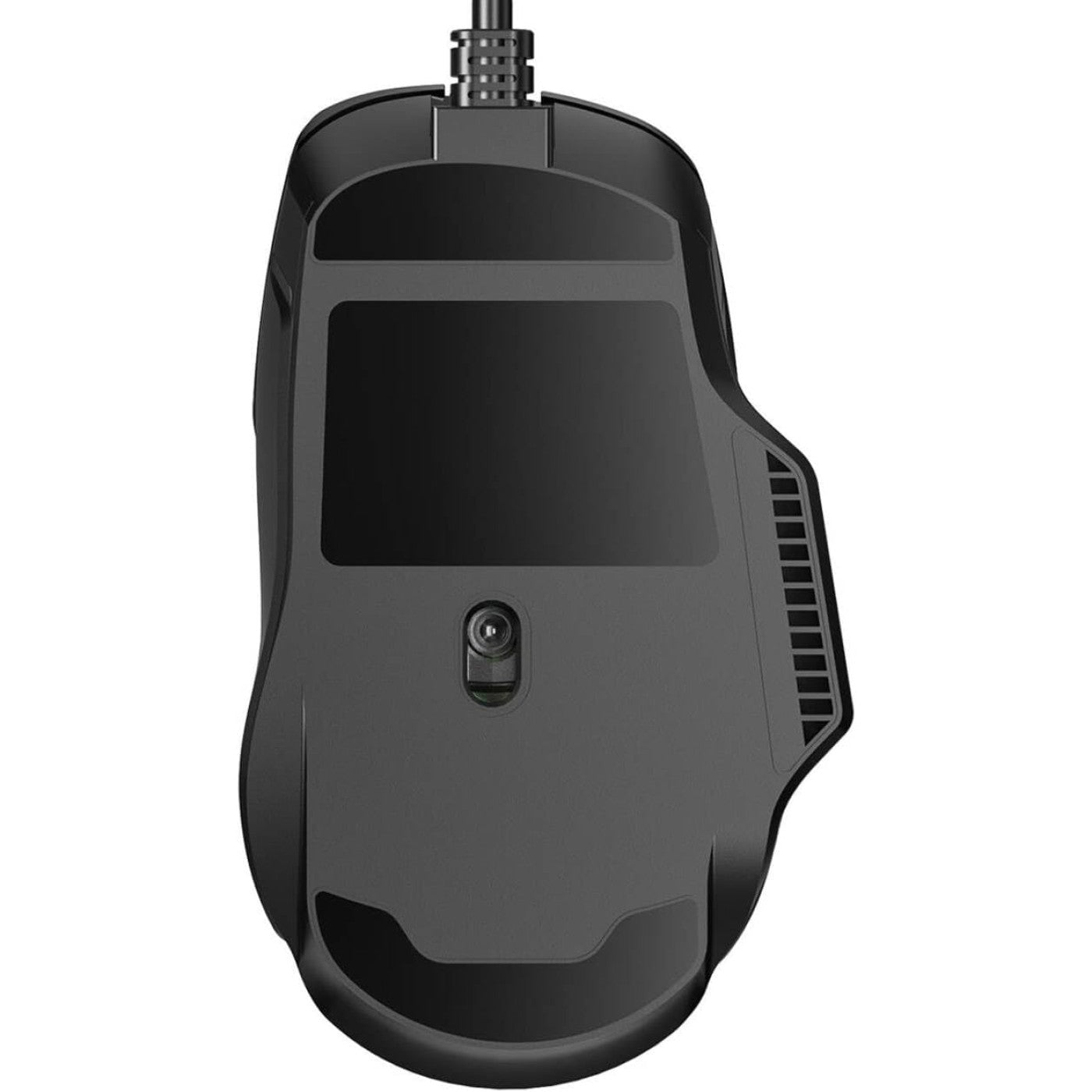 Mouse Aula F815